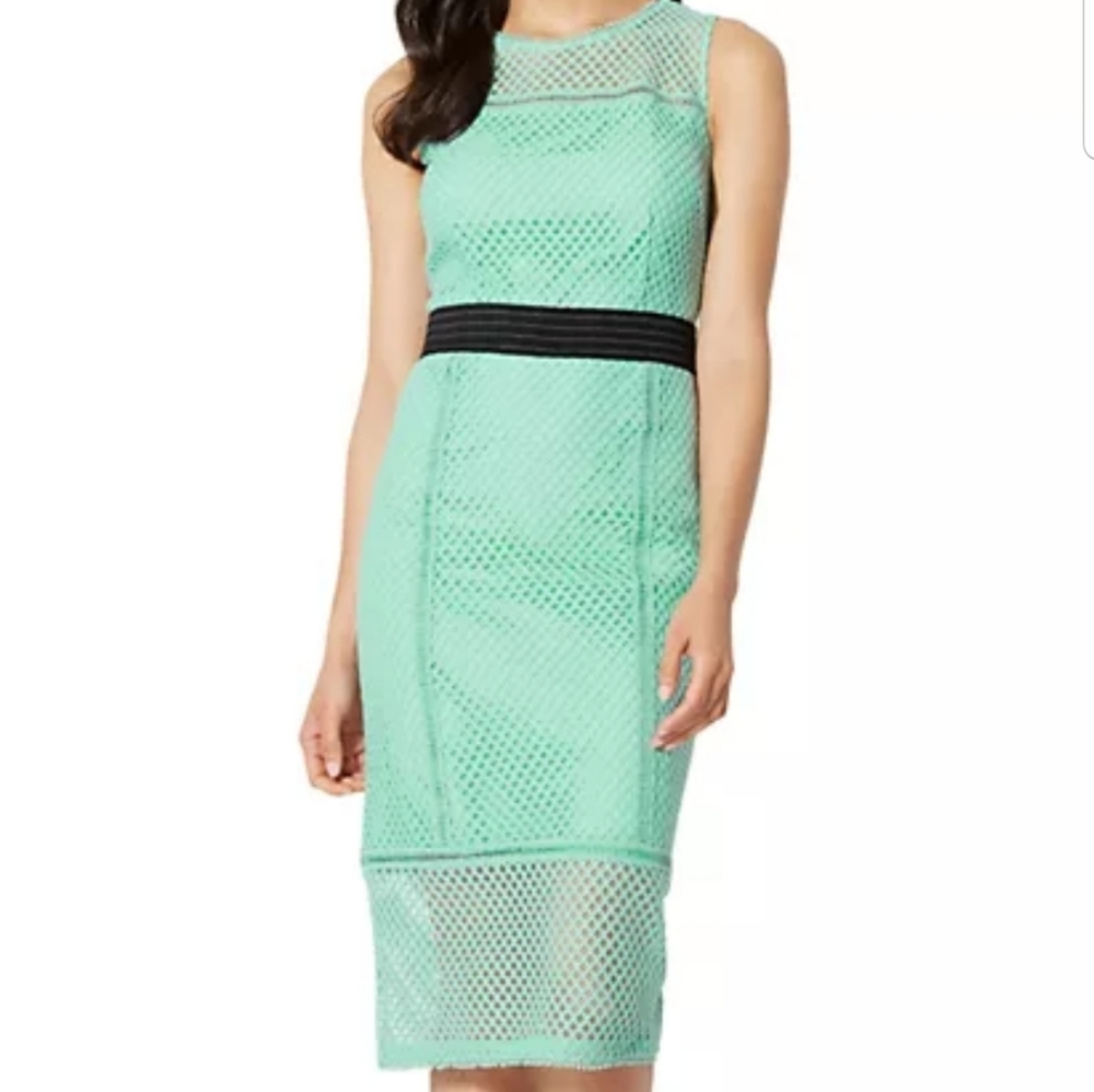 Lace - Mesh Sheath Dress
